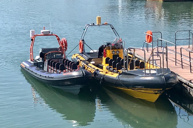 Exhilarating Rib Experience - Dingle Sea Safari - Wildlife Encounters