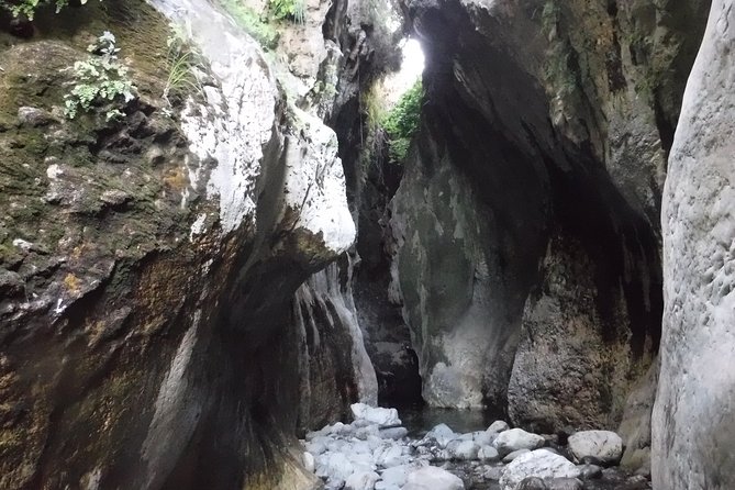 From Marbella: Canyoning Tour in Guadalmina Canyon - Guest Reviews