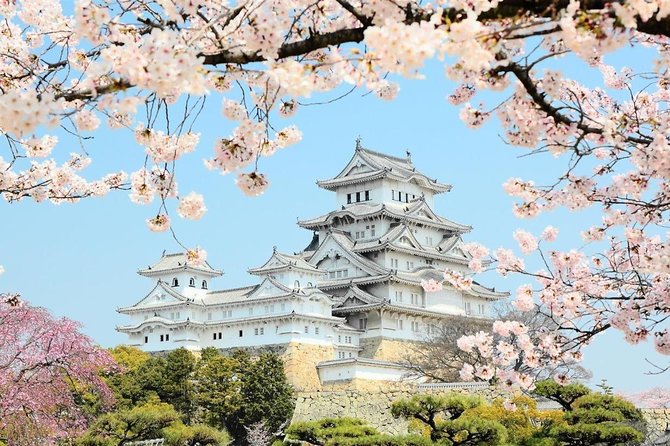 Himeji Half-Day Private Tour With Government-Licensed Guide - Customizable 2-3 Site Itinerary