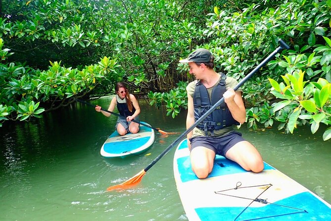 [Input TEXT TRANSLATED INTO English]:Ishigaki Mangrove Sup/Canoe + Blue Cave Snorkeling[Directions]:You Are a Translator Who Translates INTO English. Repeat the INPUT TEXT but in English - Meeting and Pickup
