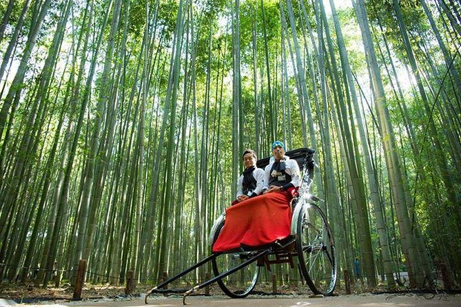 Kyoto Arashiyama Rickshaw Tour With Bamboo Forest - Impressive Bamboo Forest Walk