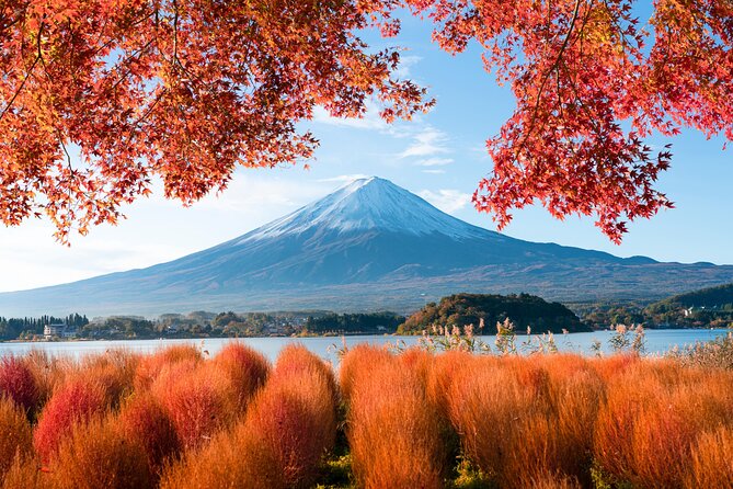 Mount Fuji Private Tour by Car - English Speaking Driver - Additional Important Information