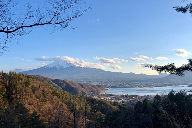 Mt Fuji Area Private Guided Tours in English-Nature up Close, Quiet, Personal - Trekking Through Enchanting Forest Trails