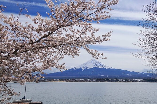 Mt. Fuji Private Tour With English Speaking Driver - Accessibility