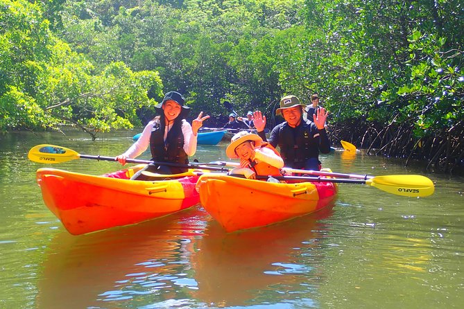 [Okinawa Iriomote] Sup/Canoe Tour in a World Heritage - Additional Tour Details and Requirements