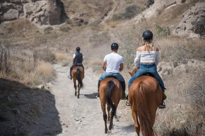 Santorini Horse Riding to Black Sandy Beach - Detailed Inclusions and Meeting Point