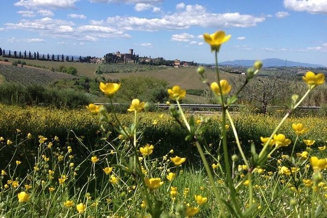 Tuscany Bike Tours Through the Chianti Hills With Wine Tasting - Cancellation Policy