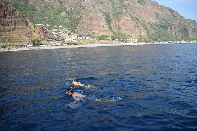 Whale and Dolphin Watching Tour in Madeira - Whats Included