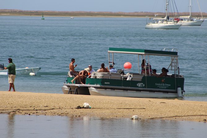 4 Stops | 3 Islands & Ria Formosa Natural Park - From Faro - Hangares Wildlife Observation Tour