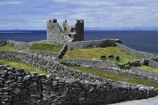 Aran Islands and Cliffs of Moher Cruise From Galway - Safety and Accessibility