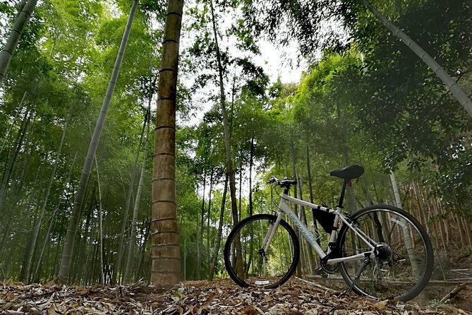Arashiyama Bamboo Bike Tour (Early Bird) - Tour Schedule and Duration