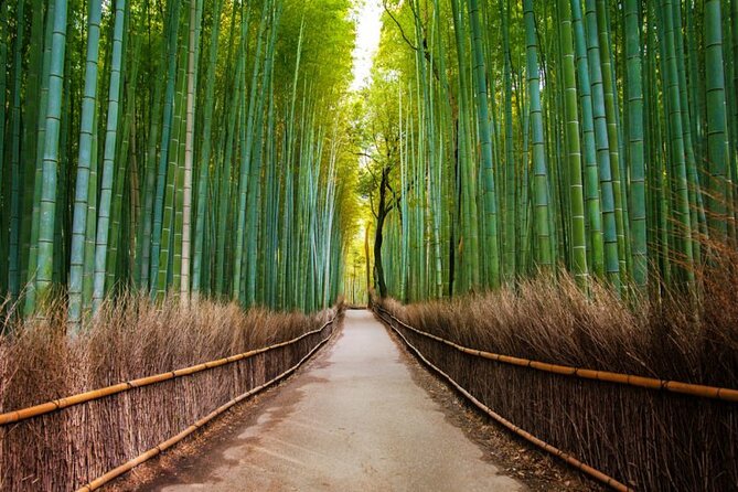 Arashiyama Walking Tour - Bamboo Forest, Monkey Park & Secrets - Meeting and Pickup