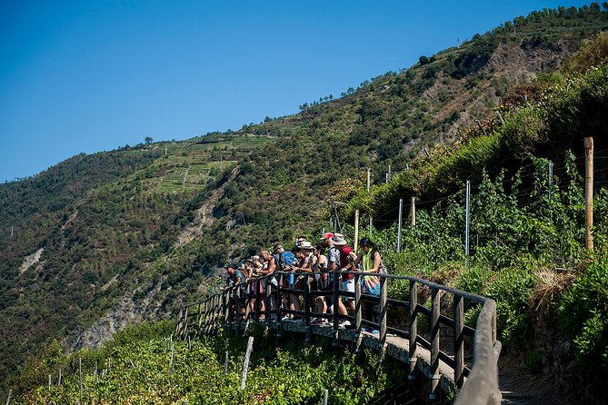 Cinque Terre Day Trip From Florence With Optional Hiking - Additional Information
