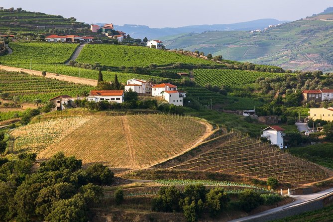 Douro Valley Tour: Wine Tasting, Cruise and Lunch From Porto - Additional Information