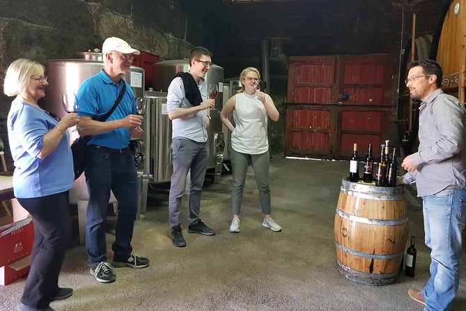 Douro Valley Wine Tour: 3 Vineyard Visits, Wine Tastings, Lunch - Recap
