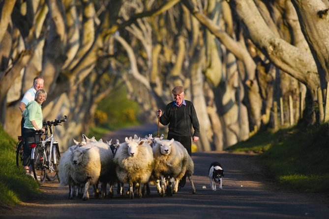 Dublin: Giants Causeway, Dark Hedges, Dunluce and Belfast Titanic Entrance Fee - Customer Reviews