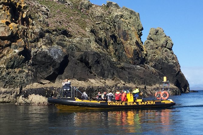 Exhilarating Rib Experience - Dingle Sea Safari - Scenic Wonders