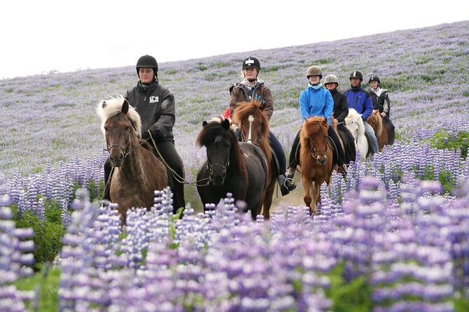 Icelandic Horseback Riding Tour From Reykjavik - Weather and Cancellation Policies