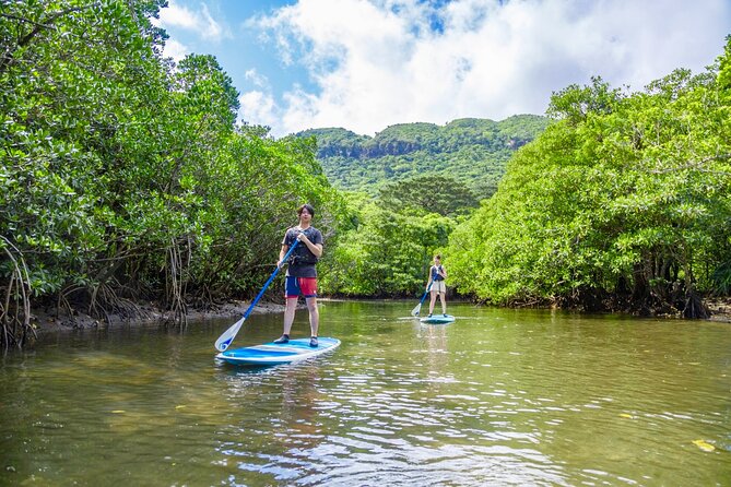 [Iriomote]Sup/Canoe Tour + Sightseeing in Yubujima Island - Cancellation Policy