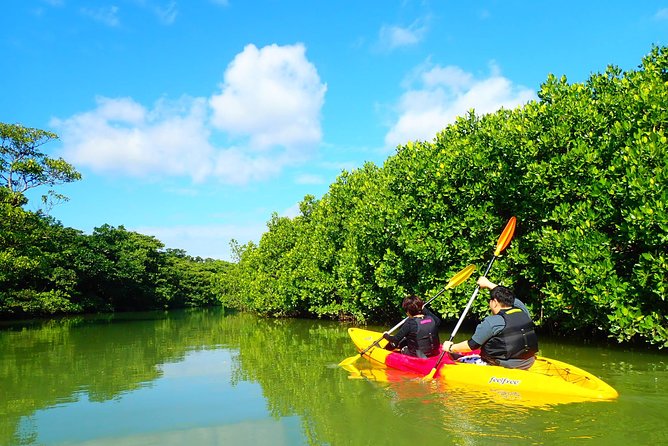 [Ishigaki] Mangrove SUP/Canoe Tour - Cancellation Policy
