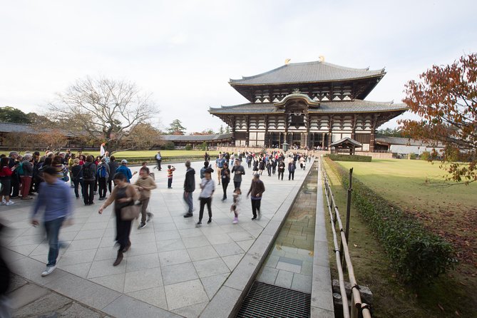 Kyoto and Nara 1 Day Trip - Golden Pavilion and Todai-Ji Temple From Kyoto - Accessibility Information