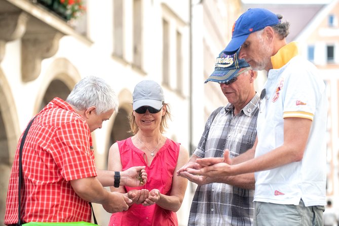 Munich Old Town Walking Tour - Inclusions and Meeting Point