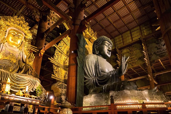 Nara Full-Day Private Tour - Kyoto Dep. With Licensed Guide - Immersive Cultural Experiences