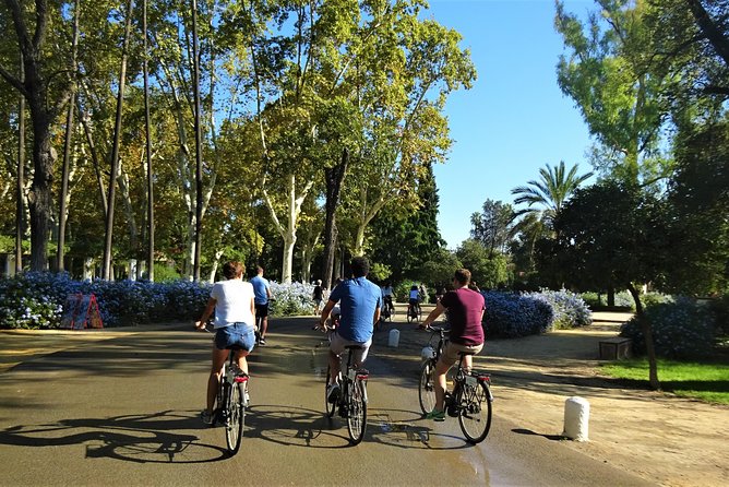 Seville Electric Bike Small Group Tour - Recap