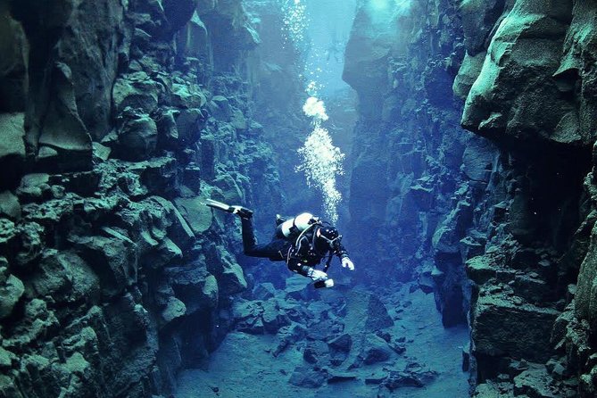 Silfra: Diving Between Tectonic Plates With Pick up From Reykjavik - Glowing Reviews From Divers