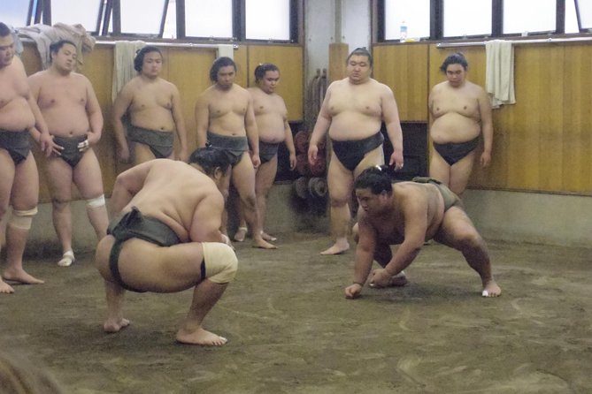 Tokyo Sumo Morning Practice Tour at Stable - Insights Into Sumo Competition Process