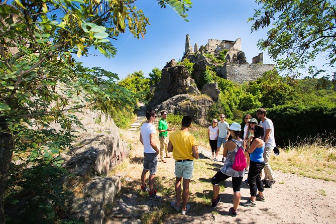 Wachau Valley Wine Tasting Bike Tour From Vienna - Testimonials