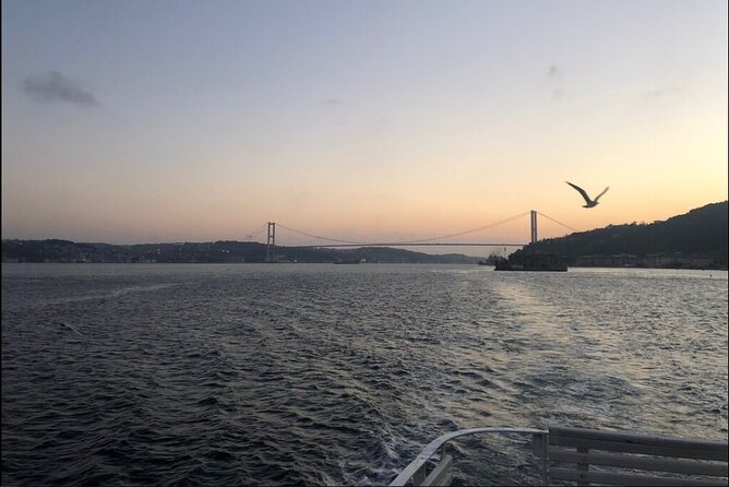 3 Hours Bosphorus Cruise With 1 Hour Stop in Asia Side - Recap