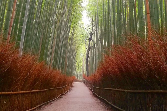 5 Top Highlights of Kyoto With Kyoto Bike Tour - Small-Group Tour Experience