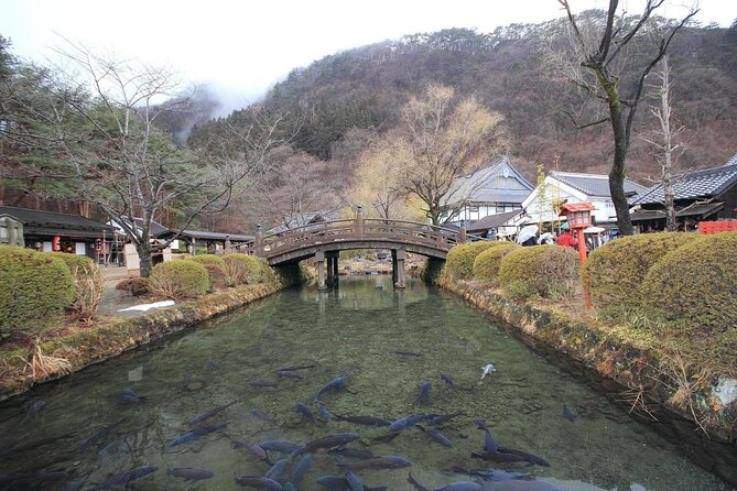 Chartered Private Tour - Tokyo to Nikko, Toshogu, Edo Wonderland - Cancellation Policy