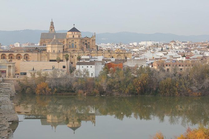 Cordoba & Carmona With Mezquita, Synagoge & Patios From Seville - Frequently Asked Questions