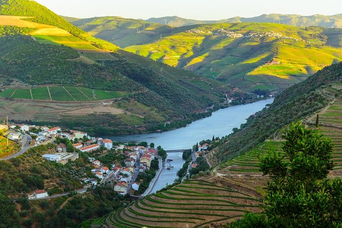 Douro Valley Tour: Wine Tasting, Cruise and Lunch From Porto - Frequently Asked Questions