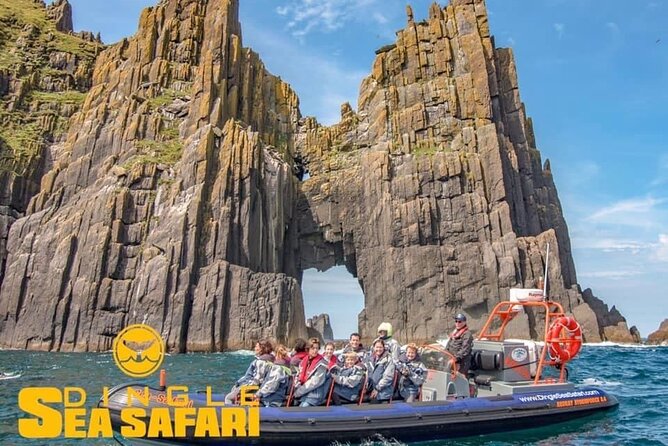 Exhilarating Rib Experience - Dingle Sea Safari - Guide Expertise