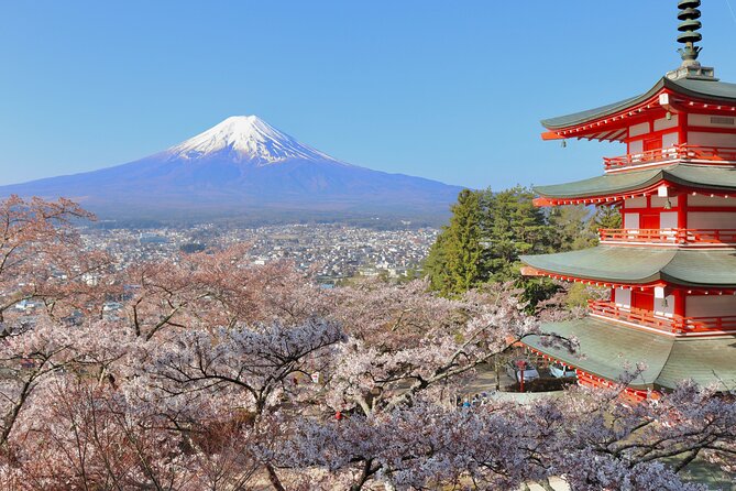 Full Day Tour to Mount Fuji in English - Group Size and Cancellation