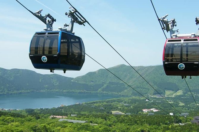 Hakone 6 Hour Private Tour With Government-Licensed Guide - Group Size and Restrictions