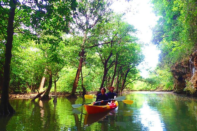 [Input TEXT TRANSLATED INTO English]:Ishigaki Mangrove Sup/Canoe + Blue Cave Snorkeling[Directions]:You Are a Translator Who Translates INTO English. Repeat the INPUT TEXT but in English - Cancellation Policy