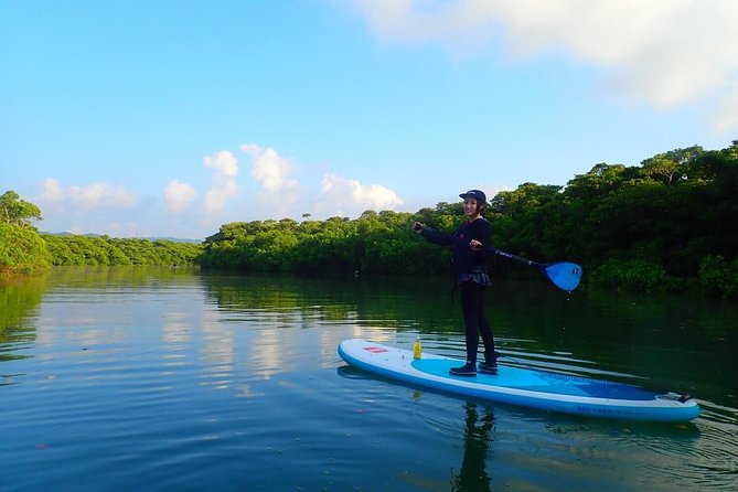 [Ishigaki] Mangrove SUP/Canoe Tour - Accessibility