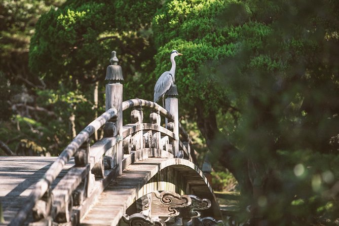 Kyoto and Nara 1 Day Trip - Golden Pavilion and Todai-Ji Temple From Kyoto - Meal Options