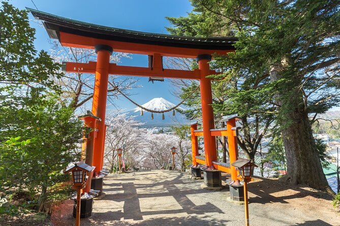 Mount Fuji Private Tour by Car - English Speaking Driver - Tour Customization Options