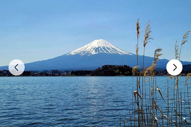 Mt. Fuji, Hakone Full-Day Private Tour With English Driver Guide - Cancellation Policy