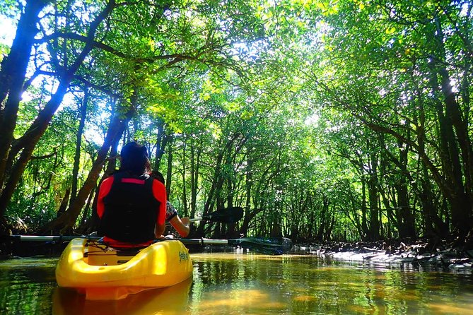 [Okinawa Iriomote] Sup/Canoe Tour in a World Heritage - Exploring the World Heritage Site