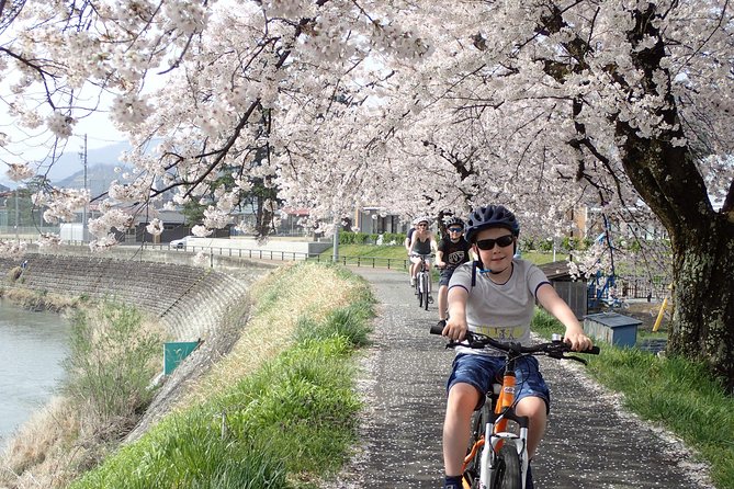 Private Afternoon Cycling Tour in Hida-Furukawa - Exploring Historic Hida-Furukawa