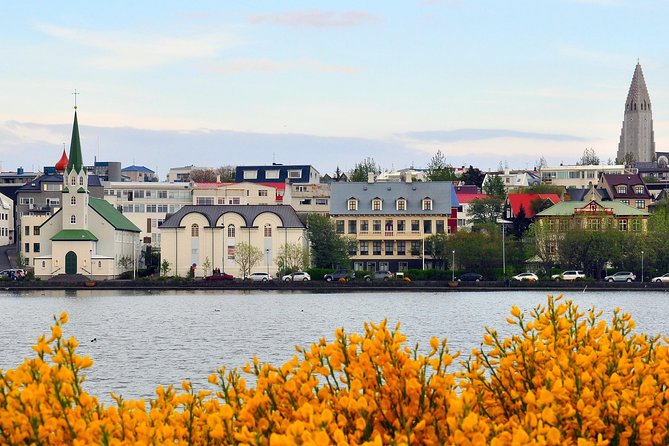 Reykjavik Walking Tour - Walk With a Viking - Visitor Reviews and Experiences