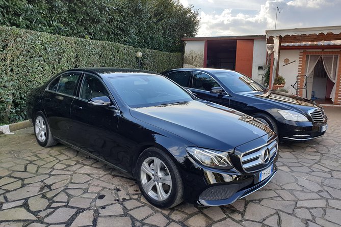 Rome Private Arrival Transfer: Fiumicino Airport to Hotel - Reviews