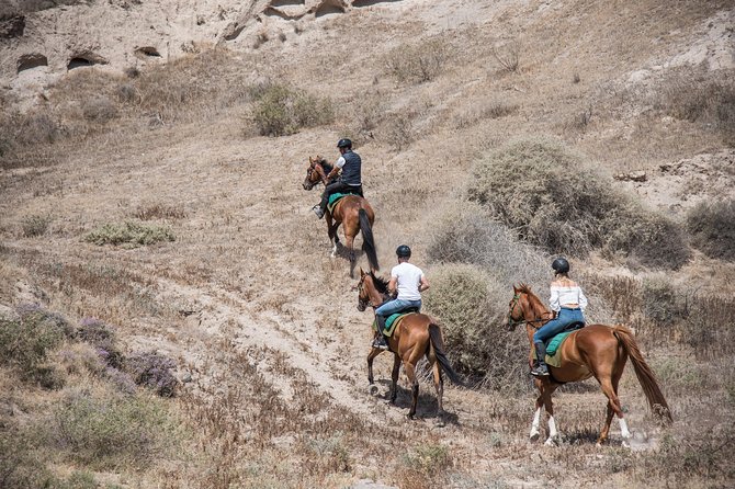 Santorini Horse Riding to Black Sandy Beach - Important Information for Travelers