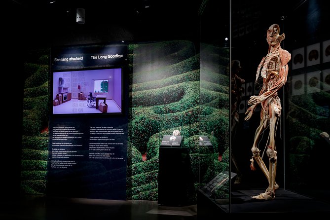 Skip the Line: Body Worlds Amsterdam Ticket - Recommendations for Interested Visitors